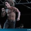  Iggy & The Stooges à la Citadelle de Spandau à Berlin : photos