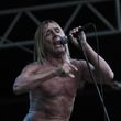  Iggy & The Stooges à la Citadelle de Spandau à Berlin : photos