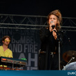 Beauregard : jour 1 (photos Selah Sue, Dionysos, The Kills, Metronomy...)