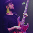 Puggy surprenant au Sentier des Halles : photos