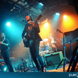 Puggy surprenant au Sentier des Halles : photos