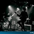 Puggy surprenant au Sentier des Halles : photos