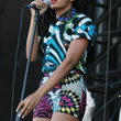 Solange Knowles au festival Roots Picnic : photos