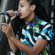 Solange Knowles au festival Roots Picnic : photos