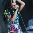 Solange Knowles au festival Roots Picnic : photos