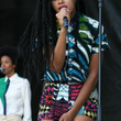 Solange Knowles au festival Roots Picnic : photos