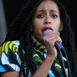 Solange Knowles au festival Roots Picnic : photos