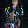 Solange Knowles au festival Roots Picnic : photos