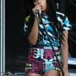 Solange Knowles au festival Roots Picnic : photos
