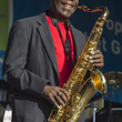 Manu Dibango en live à Bruxelles : photos