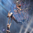 Pink en concert à Vancouver : photos
