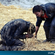 Solidays 2012 : jour 3 (photos)