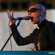 Sinead O'Connor en live en Pologne : photos :