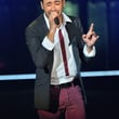 "The Voice Tour 2013" à Nice : photos