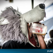 Hellfest 2012 : jour 1 (photos)