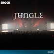 Soirée Electro Shock au Zénith de Paris : photos