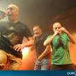 Zebda en concert au Studio SFR : photos 