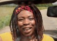 Sur la route du reggae