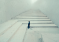 Shoot