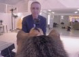 Alain Chamfort, filmé par des chats !