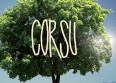 "Corsu Mezu Mezu" numéro un des ventes