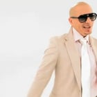 Pitbull fera-t-il plus fort que Yolanda Be Cool ?