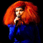 Après Madonna, Björk soutient les Pussy Riot