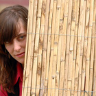 Feist : coloriez et vous saurez
