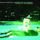 Charlie Winston chante "Rockin' In The Suburbs"