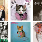 Ces chats sont devenus des rockstars !