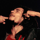 "Marley " : le documentaire bientôt sur Facebook