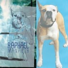 Ecoutez le nouveau single de Raphaël, "Manager"