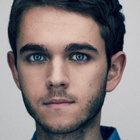 ZEDD feat. Lady Gaga sur "Stache" : écoutez !