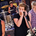 5 Seconds of Summer : les nouveaux 1D ?