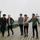 One Direction dévoile le clip "You & I"