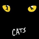 La comédie musicale "Cats" débarque à Mogador