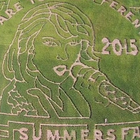 Un labyrinthe géant inspiré par... Taylor Swift