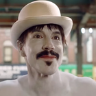 Red Hot : un clip déjanté pour "Go Robot"