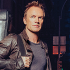 Sting sort les guitares sur "Petrol Head"