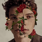 Shawn Mendes : son nouvel album sortira le...