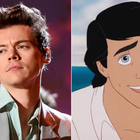 Harry Styles casté pour "La Petite Sirène" ?