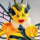 "Mask Singer" : qui se cache derrière Abeille ?