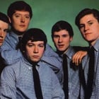 Hilton Valentine (The Animals) est mort