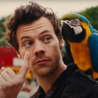 Harry Styles en plein cirque dans "Daylight"