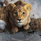 Flop pour "Mufasa : Le Roi Lion" en France !