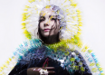 Björk en concert en France le 20 juillet 2015