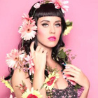 Katy Perry prépare son prochain album