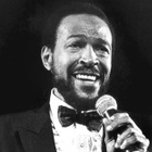 Un fan retrouve le passeport de Marvin Gaye