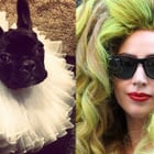 Lady Gaga s'attire les foudres de la PETA