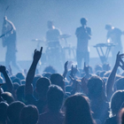 Fauve : un album live en avril